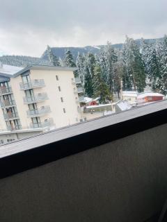 Snow Forest - Borovets - 3