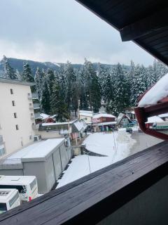 Snow Forest - Borovets - 2