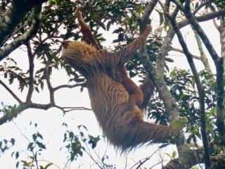 Monteverde Magic Mountain - 6