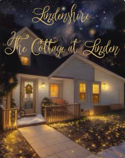 Entire House Close to Ravinia Festival - 9