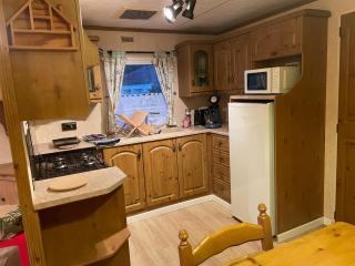Mobilhome des Quatre Terres - Lesparre-Médoc - 0