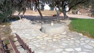 Paraje el Cerro de Íllora - 2