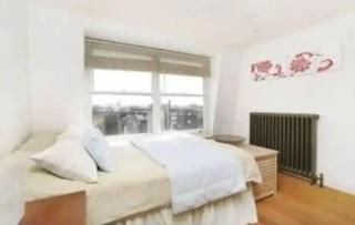 1 Bedroom Apartment Excellent Location Camden Town - Londra - 7