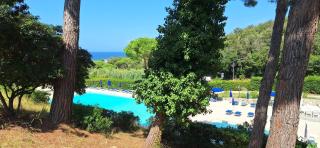 ELBA HOLIDAYS - Residence Napoleon - Procchio - 9