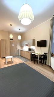 Przestronne Studio w centrum - 3