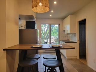VIAU-1BR near Olympic Stadium - Montreal - 9