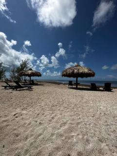 Beach View Room at Barnacle Resort - 3