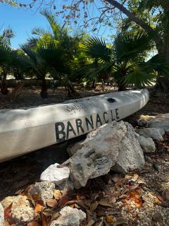 Star Room at Barnacle Resort - Big Pine Key - 9