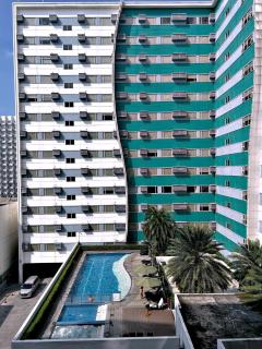 The 2nd Staycation near MOA, Airport, Netflix, Fast WIFI - Manila - 2