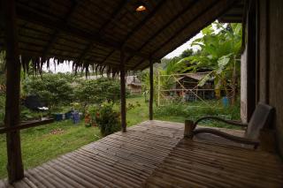 Gaarawe, Khao Sok, Surat Thani Province, Thailande - 0