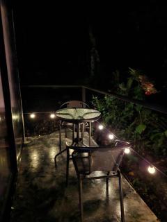 Forest Love - Quepos - 4