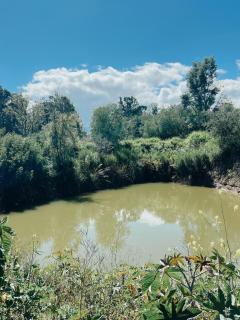 Camping Ali bosque - 1