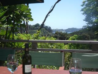Bush Beach Delight - Onetangi Holiday Home - 0