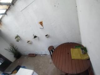 Arara suite - 1