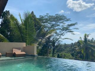 Widi's House 2 Bedroom House with Jungle View - Ubud - 0