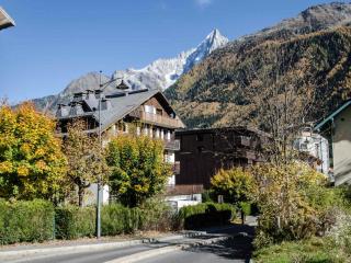 Chamonix : Bel appart 4 pers, 2 ch, wifi, parking, animaux acceptés - FR-1-343-257 - Chamonix-Mont-Blanc - 8