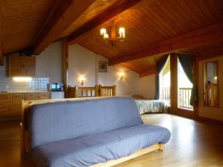 Chalet confortable pour 10 pers, animaux admis, Vallandry - FR-1-757-133 - Landry - 0