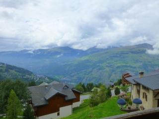 Chalet cosy pour 10 pers avec accès pistes, Vallandry - FR-1-757-133 - Landry - 1