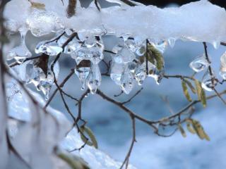 Appartement Type 2 au Centre de Cauterets, 2/4 Pers. - FR-1-234-333 - 5