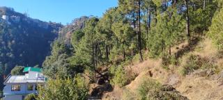 Thakur homes- couple and family friendly homestay - Shimla - 3