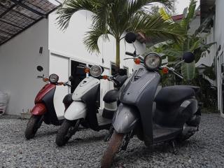 Little Escape Guesthouse Nesat - 6