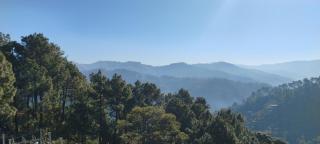 Thakur homes- couple and family friendly homestay - Shimla - 4
