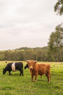 Valley Green Haven Estate - 7