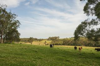 Valley Green Haven Estate - Cooranbong - 1