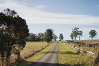 Cooranbong Rural Farm Creekside - 5