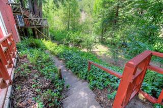 Cozy Riverfront Cabin Just Steps to the Russian River with Beach Access & Wood Stove - Guerneville - 4