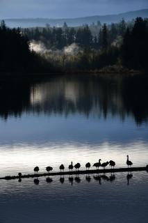 Silver Lake Resort - 2