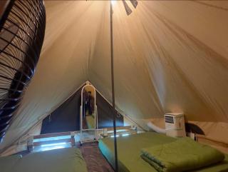 Amar Camp Taman Negara Kuala Tahan - Jerantut - 4