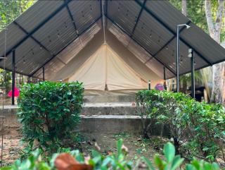 Amar Camp Taman Negara Kuala Tahan - 0