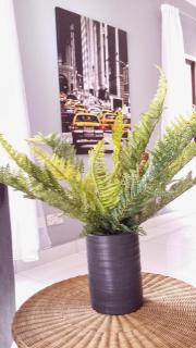 Zachs Marina Court Resort Getaway - 9