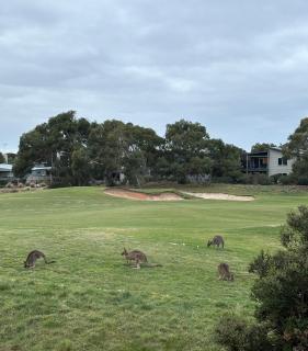 Shore Place 3 br Serenity - Golf Course Views - Free parking - 2