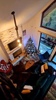 Wild House - Sinaia - 4