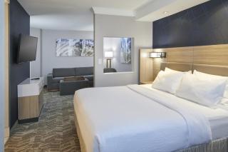 SpringHill Suites Detroit Southfield - 8