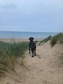 Chalet K94 - Sunset View - 1