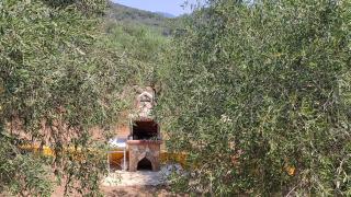 Summer accommodation in Corfu - Halikounas - 7