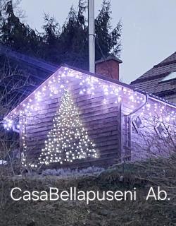 Casa Bella - 5