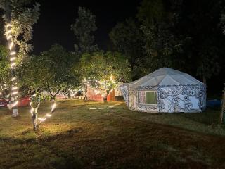 Dome stay nature retreat - Golhalli - 9