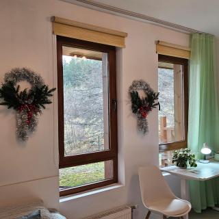 Green life Ski & Spa Studio - Bansko - 4