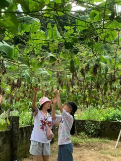 Y Sao Homestay - Hòa Bình - 4