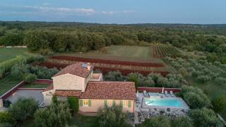Villa Nona Marija - Sveti Lovreč Pazenatički - 6