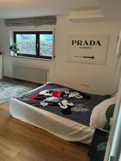 Ferienwohnung in der Nähe des Europa-Park Rust mit Terrasse und Grill - 5