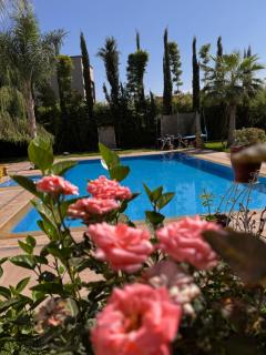 Les jardins d’ailleurs - Marrakesh - 3