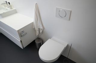 Modern Bijou Bern - Gümligen - 3