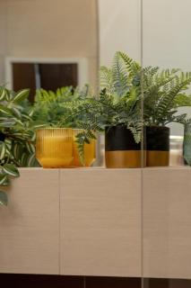 Beautiful Apartament with Free Parking in Kazimierz District by Noclegi Renters - 3