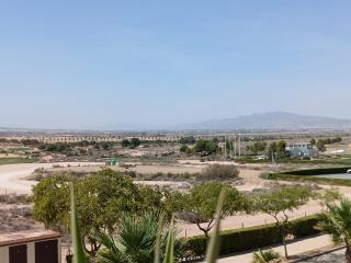 N500, Condado De Alhama - Alhama de Murcia - 2