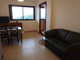 2TERIMP204 T2 neuf avec terrasse climatisation et parking Collioure - Collioure - 4